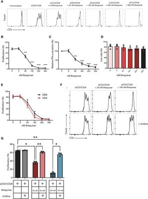 Mitochondrial-Linked De Novo Pyrimidine Biosynthesis Dictates Human T-Cell Proliferation but Not Expression of Effector Molecules